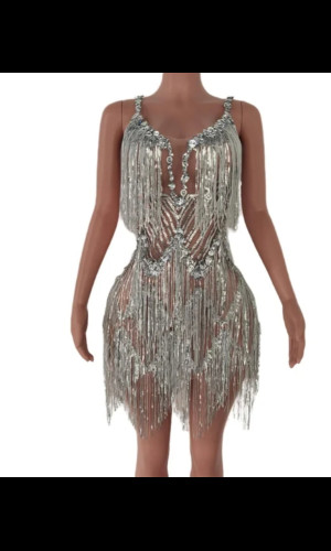 SW027 Transparent Silver Fringes Dress