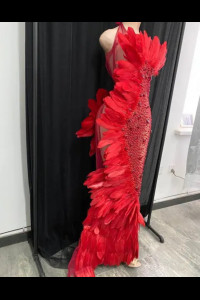 SW035 Red Feathered Stage Dress