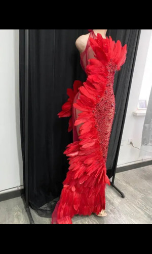 SW035 Red Feathered Stage Dress
