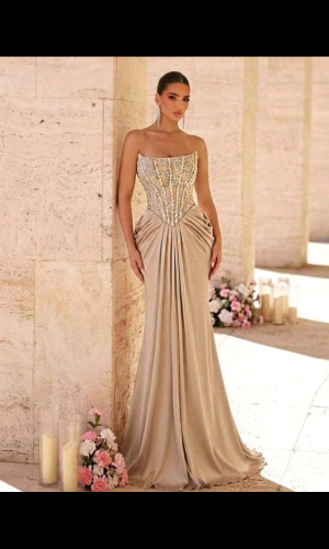 E789 Beige Boobtube Gown